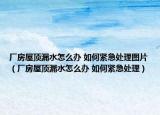 厂房屋顶漏水怎么办 如何紧急处理图片（厂房屋顶漏水怎么办 如何紧急处理）
