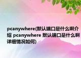 pcanywhere(默认端口是什么啊介绍 pcanywhere 默认端口是什么啊详细情况如何)