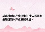 战略性新兴产业 规划（十二五国家战略性新兴产业发展规划）