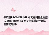 辛晓琪PROMISE(ME 中文版叫什么介绍 辛晓琪PROMISE ME 中文版叫什么详细情况如何)
