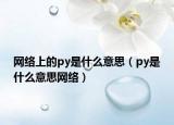 网络上的py是什么意思（py是什么意思网络）