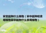 家里能种什么植物（家中能种啥食用植物家中能种什么食用植物）