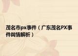 茂名市px事件（广东茂名PX事件舆情解析）