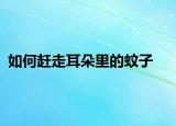 如何赶走耳朵里的蚊子