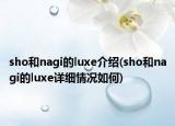 sho和nagi的luxe介绍(sho和nagi的luxe详细情况如何)