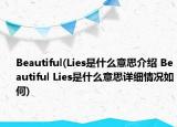 Beautiful(Lies是什么意思介绍 Beautiful Lies是什么意思详细情况如何)