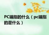 PC端指的什么（pc端指的是什么）