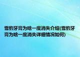 雪豹牙膏为啥一度消失介绍(雪豹牙膏为啥一度消失详细情况如何)