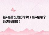 新a是什么地方车牌（新a是哪个地方的车牌）