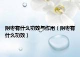 阴枣有什么功效与作用（阴枣有什么功效）