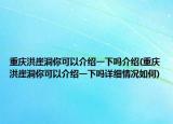 重庆洪崖洞你可以介绍一下吗介绍(重庆洪崖洞你可以介绍一下吗详细情况如何)