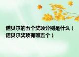 诺贝尔的五个奖项分别是什么（诺贝尔奖项有哪五个）