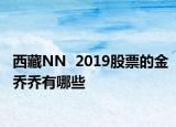西藏NN  2019股票的金乔乔有哪些