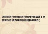 怎样饲养仓鼠如何养仓鼠的注意事项（仓鼠怎么养 看专家教你如何科学喂养）
