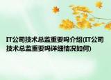 IT公司技术总监重要吗介绍(IT公司技术总监重要吗详细情况如何)