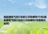 施耐德电气同行业的公司有哪些?介绍(施耐德电气同行业的公司有哪些?详细情况如何)