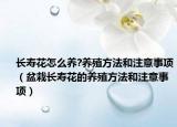 长寿花怎么养?养殖方法和注意事项（盆栽长寿花的养殖方法和注意事项）