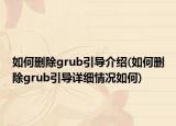 如何删除grub引导介绍(如何删除grub引导详细情况如何)