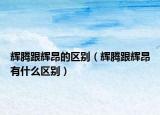 辉腾跟辉昂的区别（辉腾跟辉昂有什么区别）