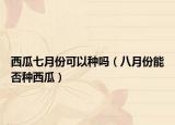西瓜七月份可以种吗（八月份能否种西瓜）