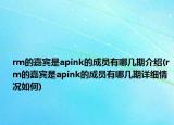 rm的嘉宾是apink的成员有哪几期介绍(rm的嘉宾是apink的成员有哪几期详细情况如何)