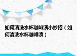 如何清洗水杯咖啡渍小妙招（如何清洗水杯咖啡渍）