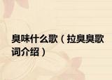 臭味什么歌（拉臭臭歌词介绍）