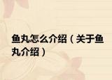 鱼丸怎么介绍（关于鱼丸介绍）