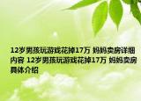 12岁男孩玩游戏花掉17万 妈妈卖房详细内容 12岁男孩玩游戏花掉17万 妈妈卖房具体介绍