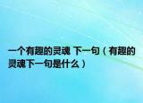 一个有趣的灵魂 下一句（有趣的灵魂下一句是什么）