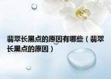 翡翠长黑点的原因有哪些（翡翠长黑点的原因）