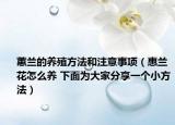 蕙兰的养殖方法和注意事项（惠兰花怎么养 下面为大家分享一个小方法）