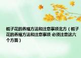 栀子花的养殖方法和注意事项北方（栀子花的养殖方法和注意事项 必须注意这六个方面）