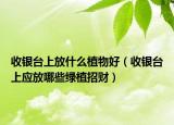 收银台上放什么植物好（收银台上应放哪些绿植招财）