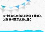 支付宝怎么查自己的社保（社保怎么查 支付宝怎么查社保）
