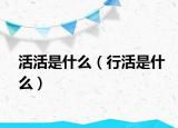 活活是什么（行活是什么）