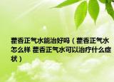藿香正气水能治好吗（藿香正气水怎么样 藿香正气水可以治疗什么症状）