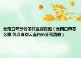 云南白药牙膏怎样区别真假（云南白药怎么样 怎么鉴别云南白药牙膏真假）