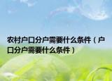 农村户口分户需要什么条件（户口分户需要什么条件）