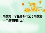 隋朝第一个皇帝叫什么（隋朝第一个皇帝叫什么）