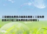 三亚哪些免费景点值得去看看（三亚免费的景点介绍三亚免费的景点有哪些）
