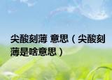 尖酸刻薄 意思（尖酸刻薄是啥意思）