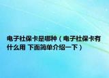 电子社保卡是哪种（电子社保卡有什么用 下面简单介绍一下）