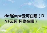 dnf的npc云珂在哪（DNF云珂 怀隐在哪）