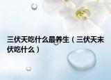 三伏天吃什么最养生（三伏天末伏吃什么）