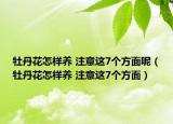 牡丹花怎样养 注意这7个方面呢（牡丹花怎样养 注意这7个方面）