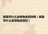 属猪带什么吉祥物会招财呢（属猪带什么吉祥物会招财）