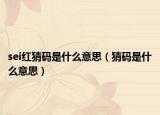 sei红猜码是什么意思（猜码是什么意思）