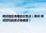 郴州地区有哪些好景点（郴州 郴州好玩的景点有哪些）