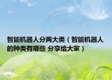 智能机器人分两大类（智能机器人的种类有哪些 分享给大家）